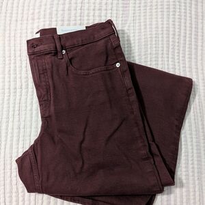 NWT Everlane the Column Jean 29L